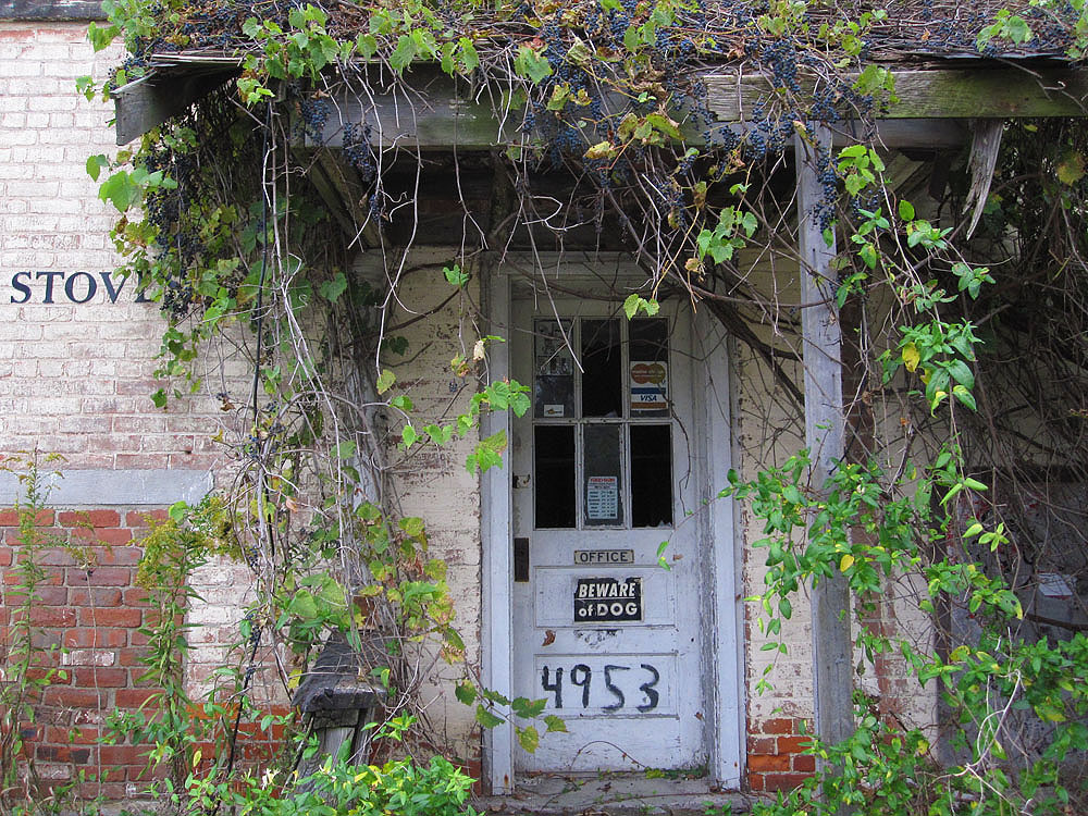 The overgrown front door to the old Mitchell place.